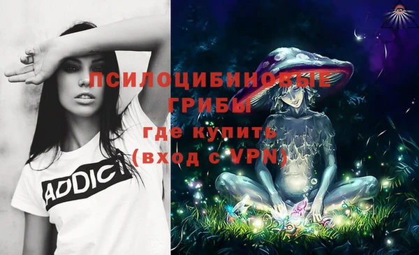 MESCALINE Богородицк
