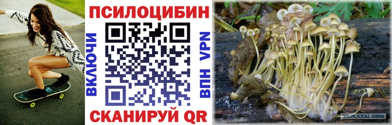 продажа наркотиков даркнет официальный сайт Псилоцибиновые грибы GOLDEN TEACHER Очёр